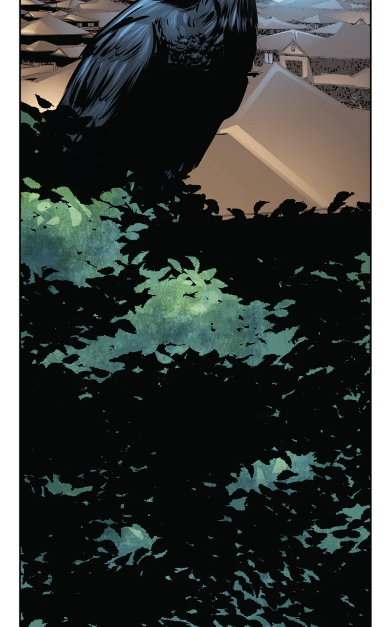 Read Acursian chapter 11 image 5 on Lezhin