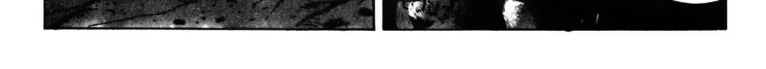 Read AD Police chapter 4.1 image 13 on Lezhin