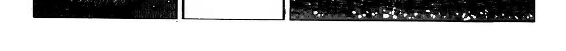 Read AD Police chapter 4 image 7 on Lezhin