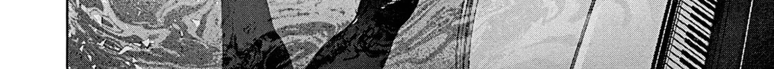 Read Adam and Eve chapter 11 image 51 on Lezhin