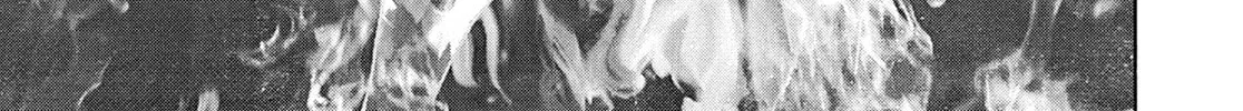 Read Adam and Eve chapter 12 image 13 on Lezhin