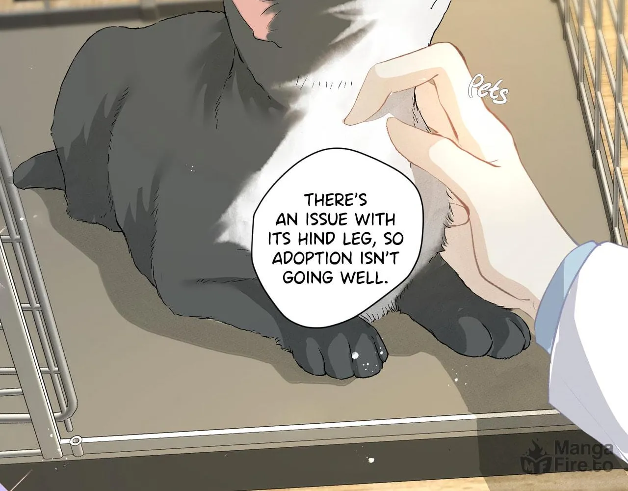 Read Addicted to Her chapter 59 image 59 on Lezhin