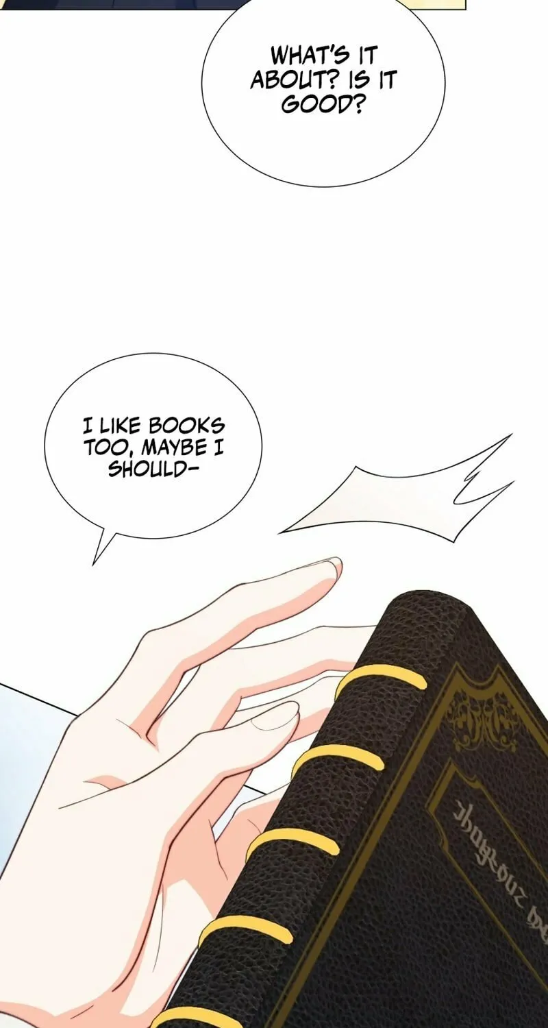 Read Adinmir