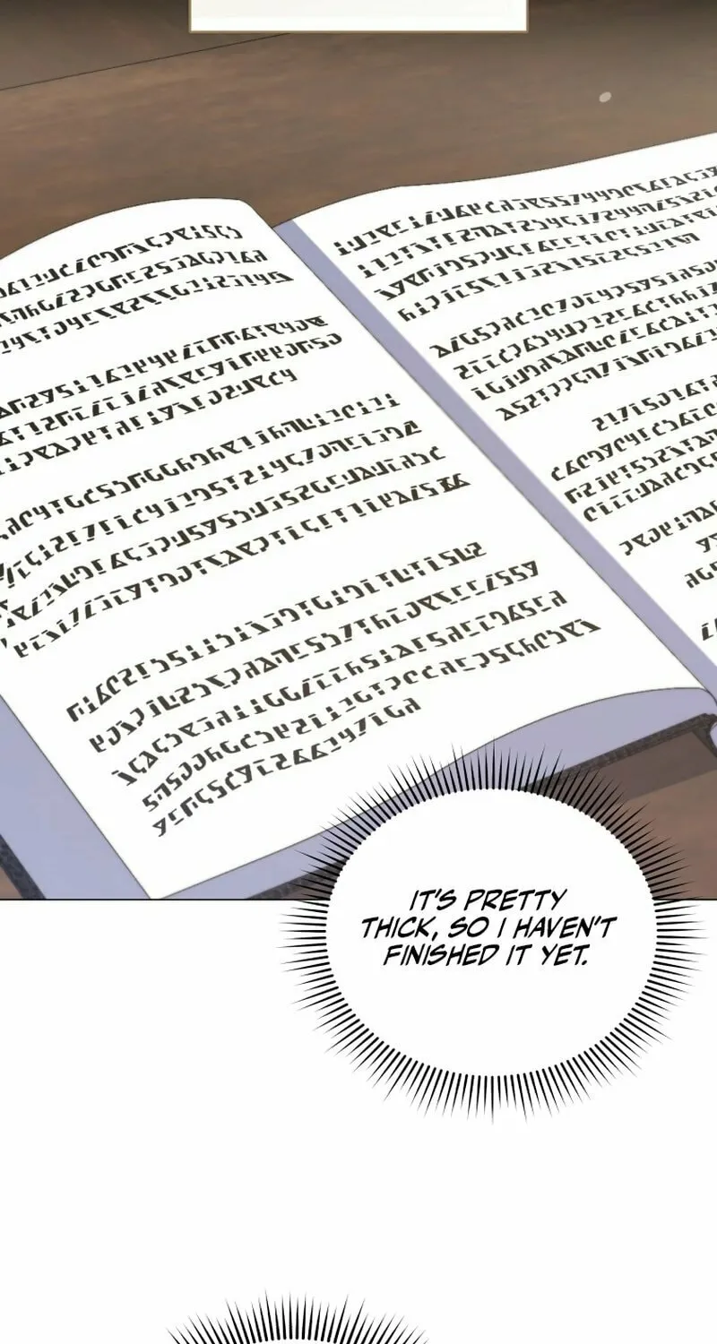 Read Adinmir