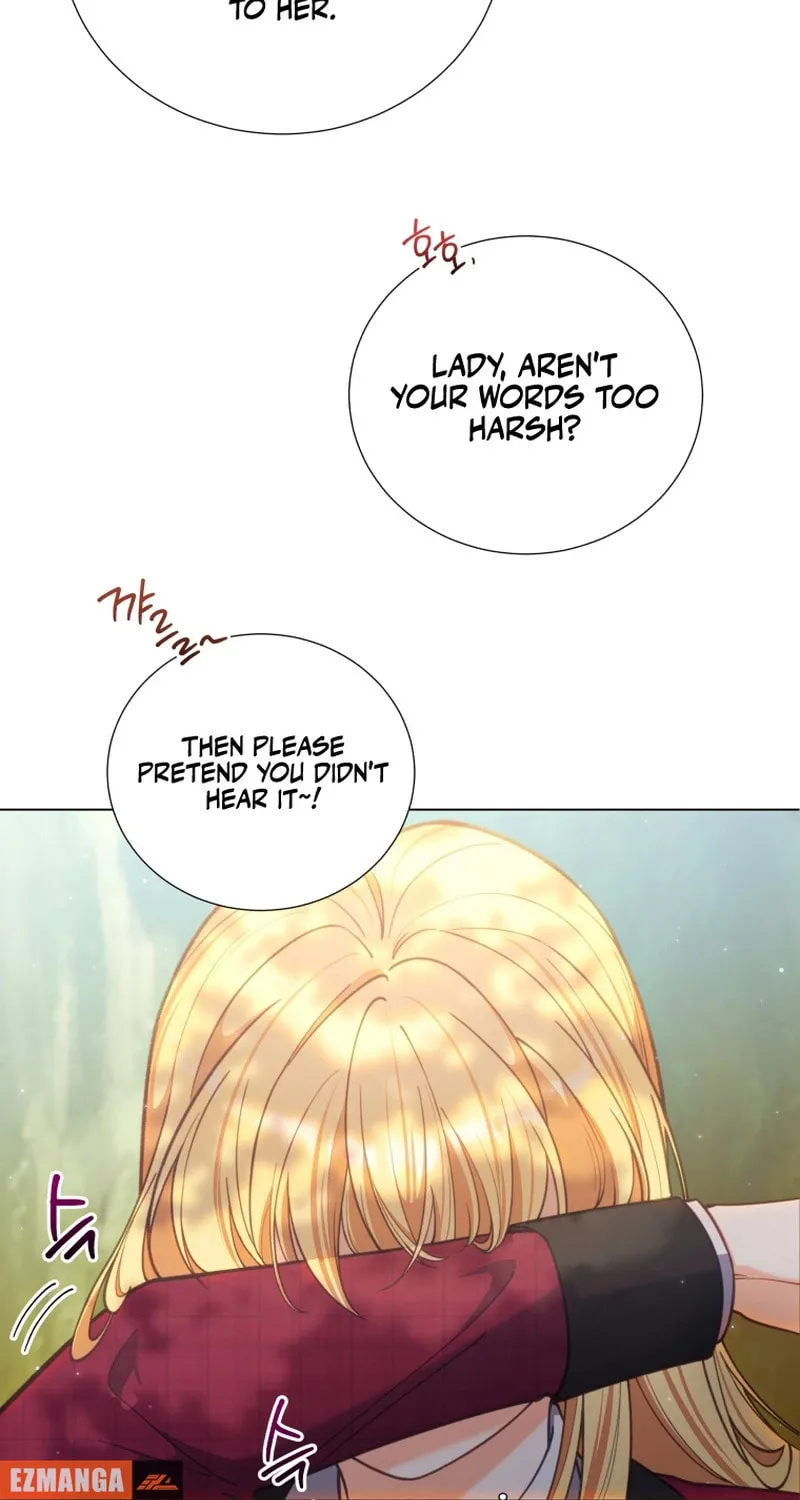 Read Adinmir