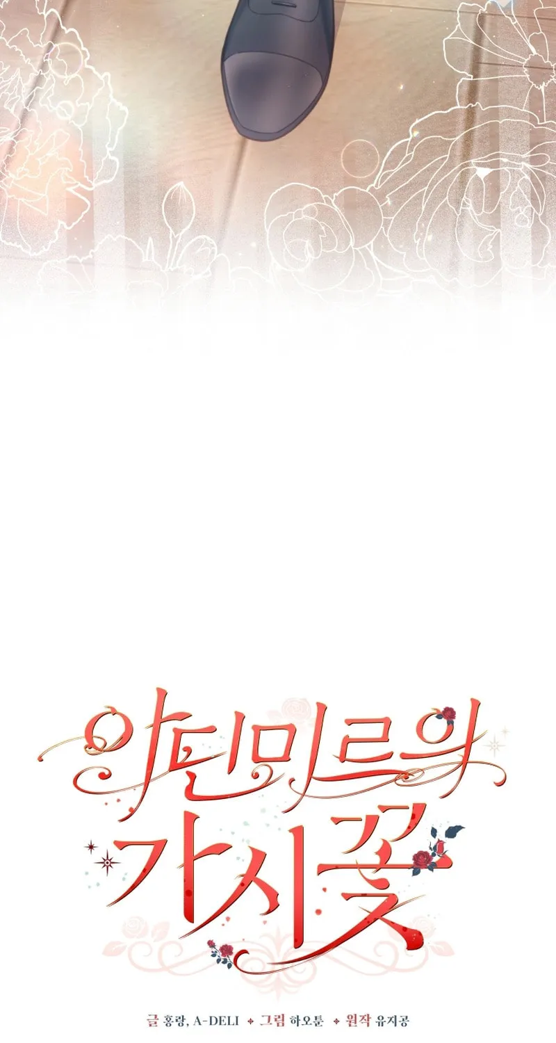 Read Adinmir