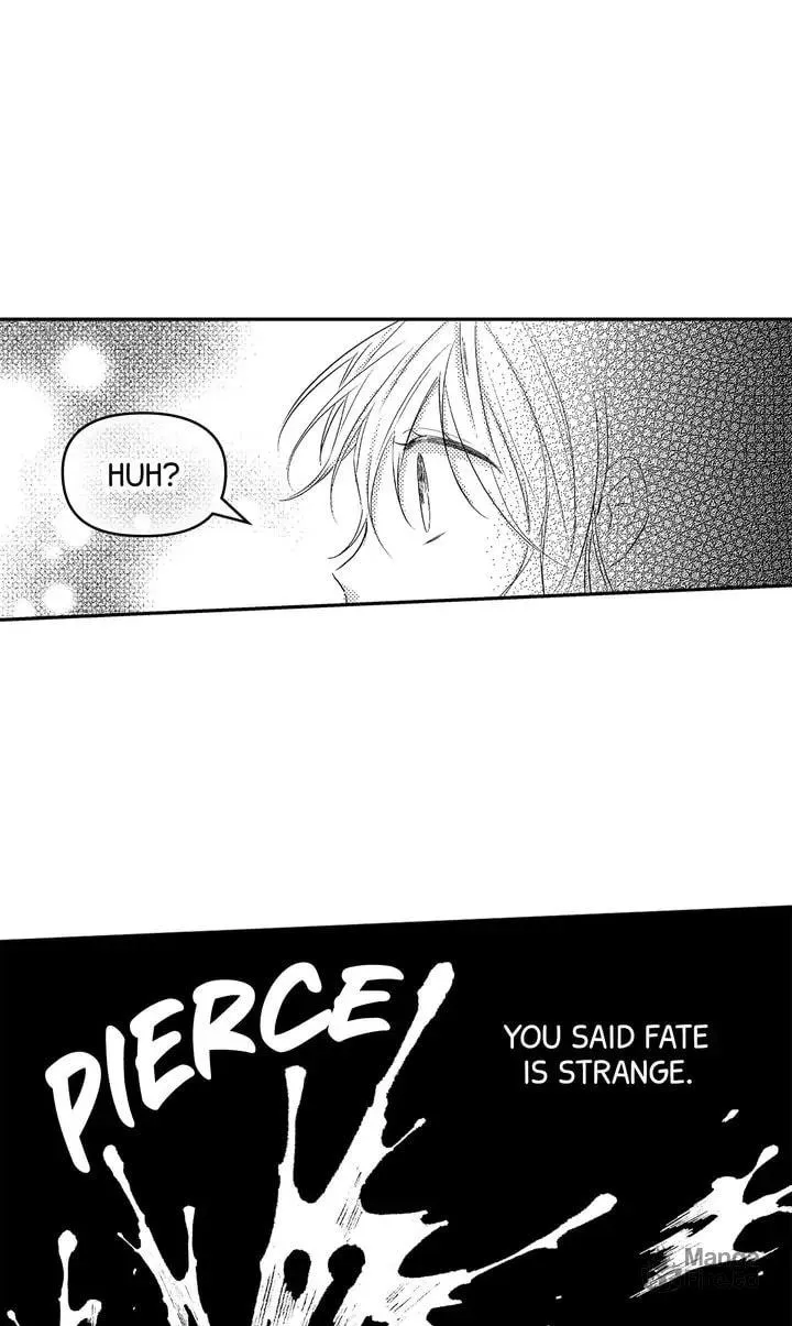 Read Adios April chapter 154 image 38 on Lezhin
