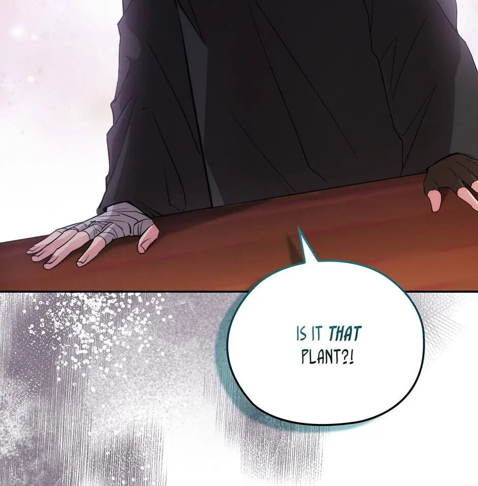 Read Adonis chapter 238.99 image 104 on Lezhin