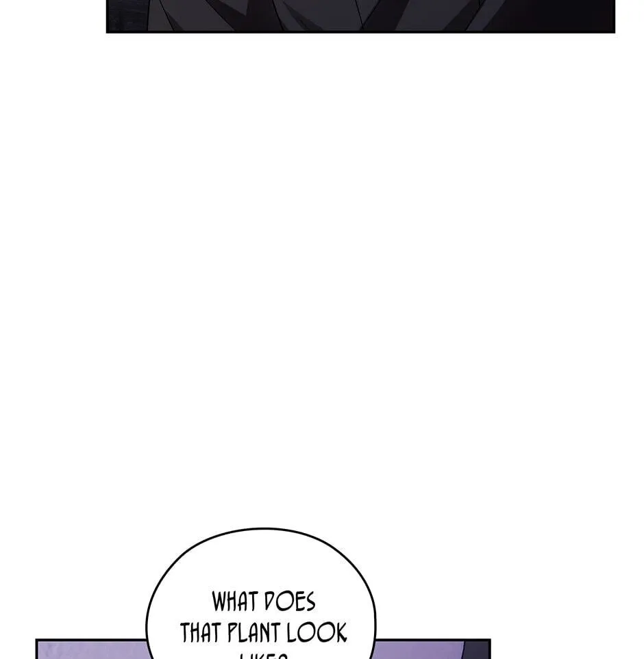 Read Adonis chapter 238.99 image 77 on Lezhin