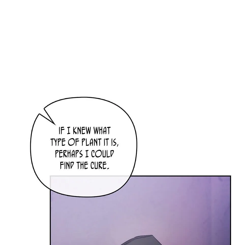 Read Adonis chapter 238.99 image 81 on Lezhin