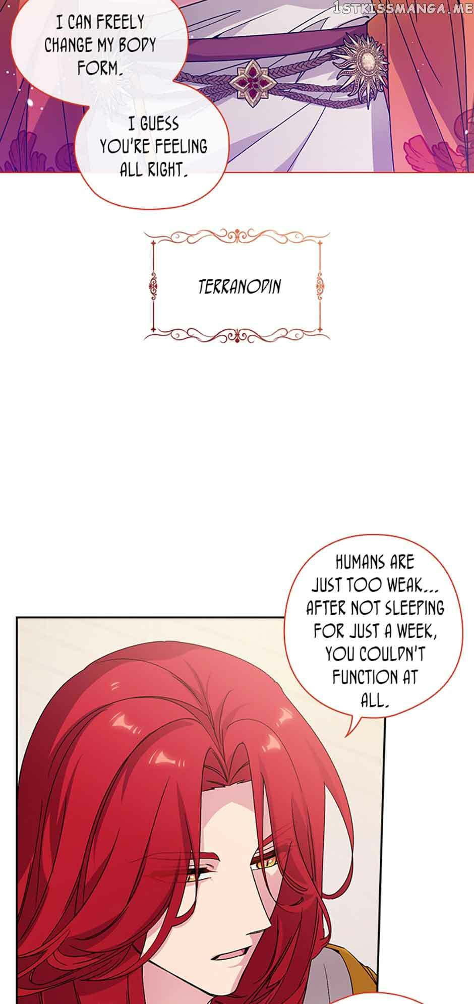 Read Adonis chapter 240 image 7 on Lezhin