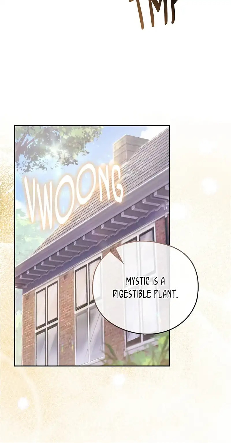 Read Adonis chapter 251 image 47 on Lezhin