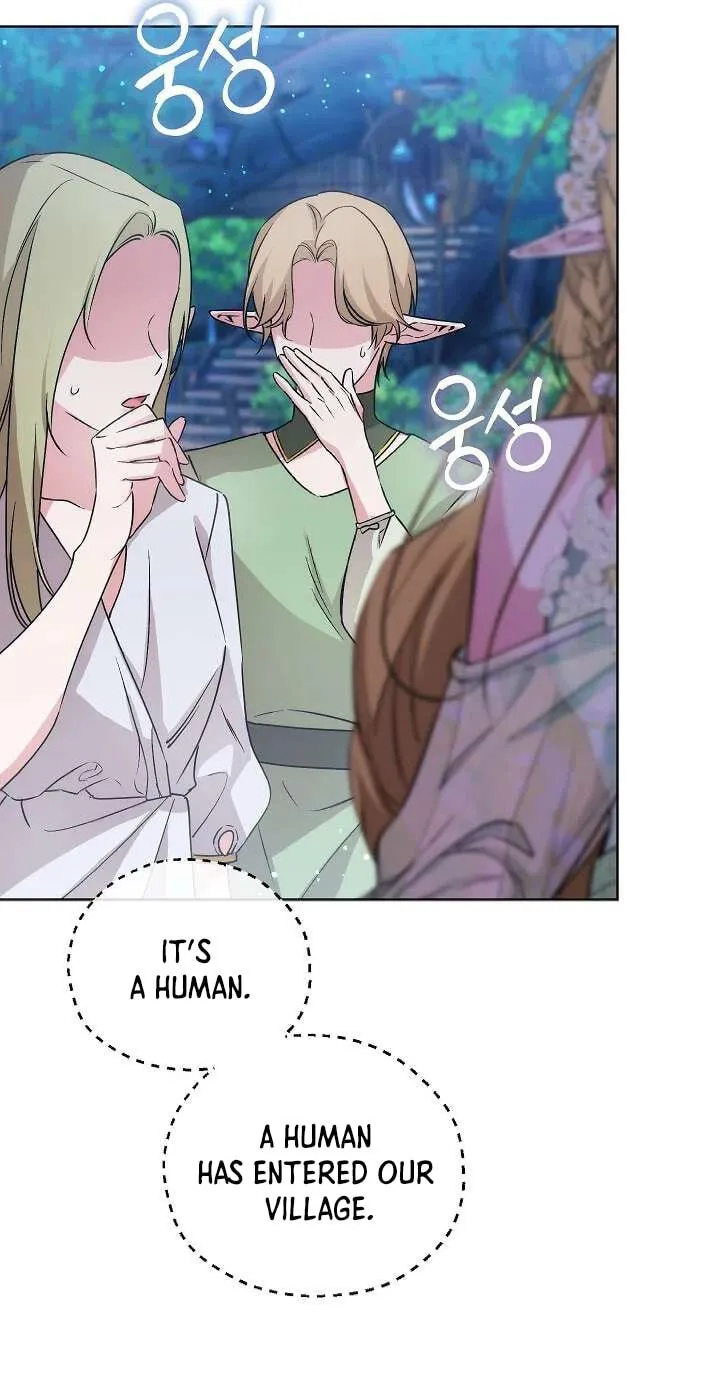 Read Adonis chapter 311 image 114 on Lezhin