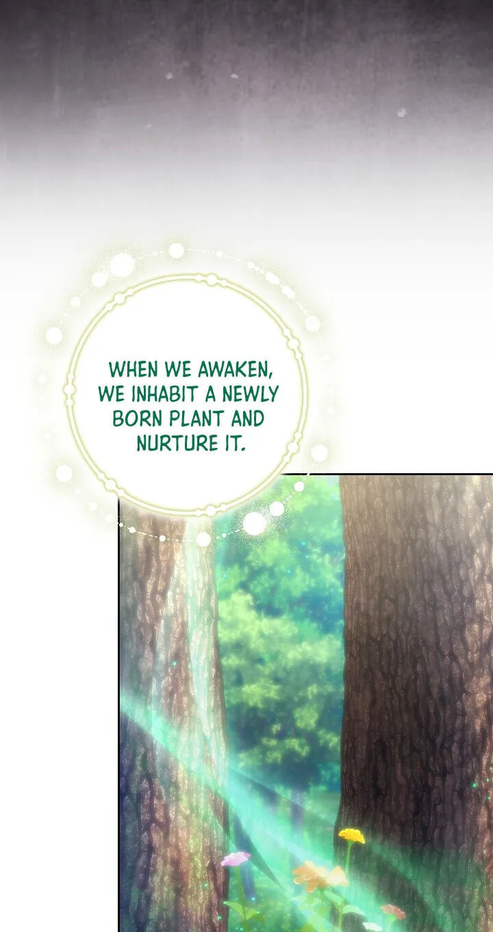 Read Adonis chapter 313 image 48 on Lezhin