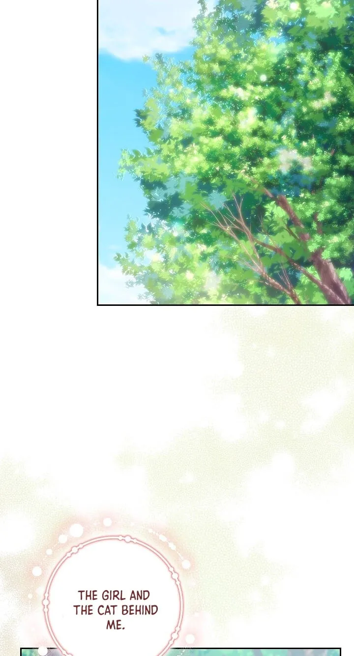 Read Adonis chapter 313 image 80 on Lezhin