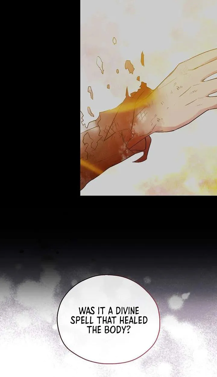 Read Adonis chapter 315 image 164 on Lezhin