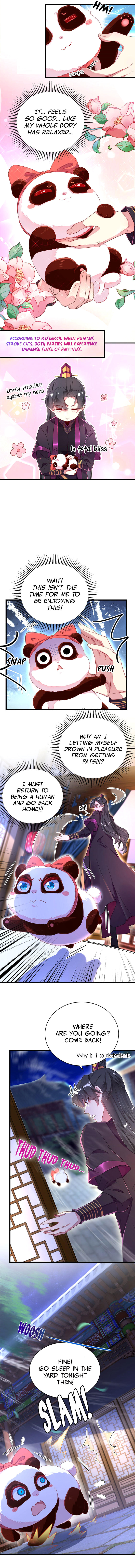 Read Adorable Princess chapter 13 image 3 on Lezhin