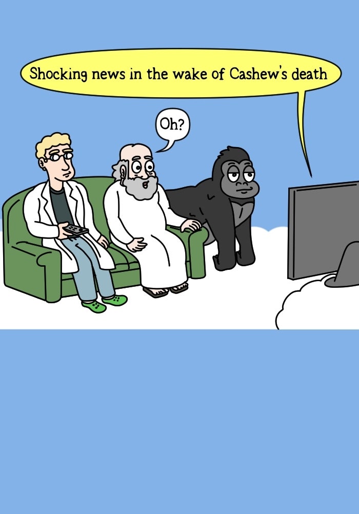 Adventures of God Ep. 1047 - Cashew the Gorilla page 5 - 