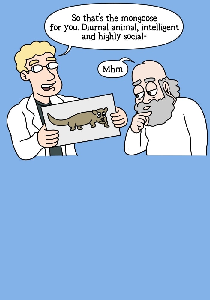 Adventures of God Ep. 1053 - VS page 2 - 