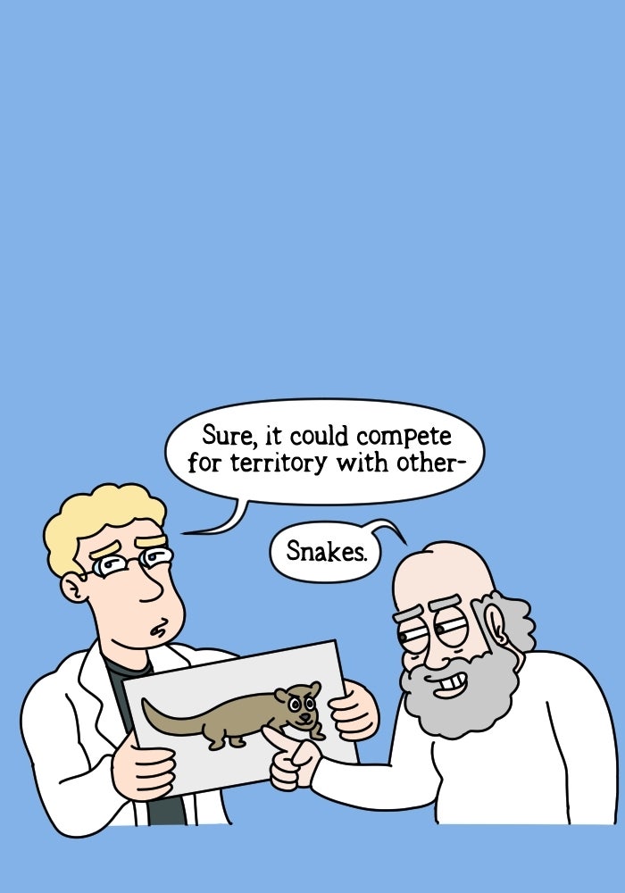 Adventures of God Ep. 1053 - VS page 6 - 