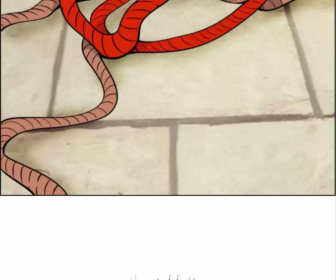 Adventures With Snakes Chapter 85 page 34 - 