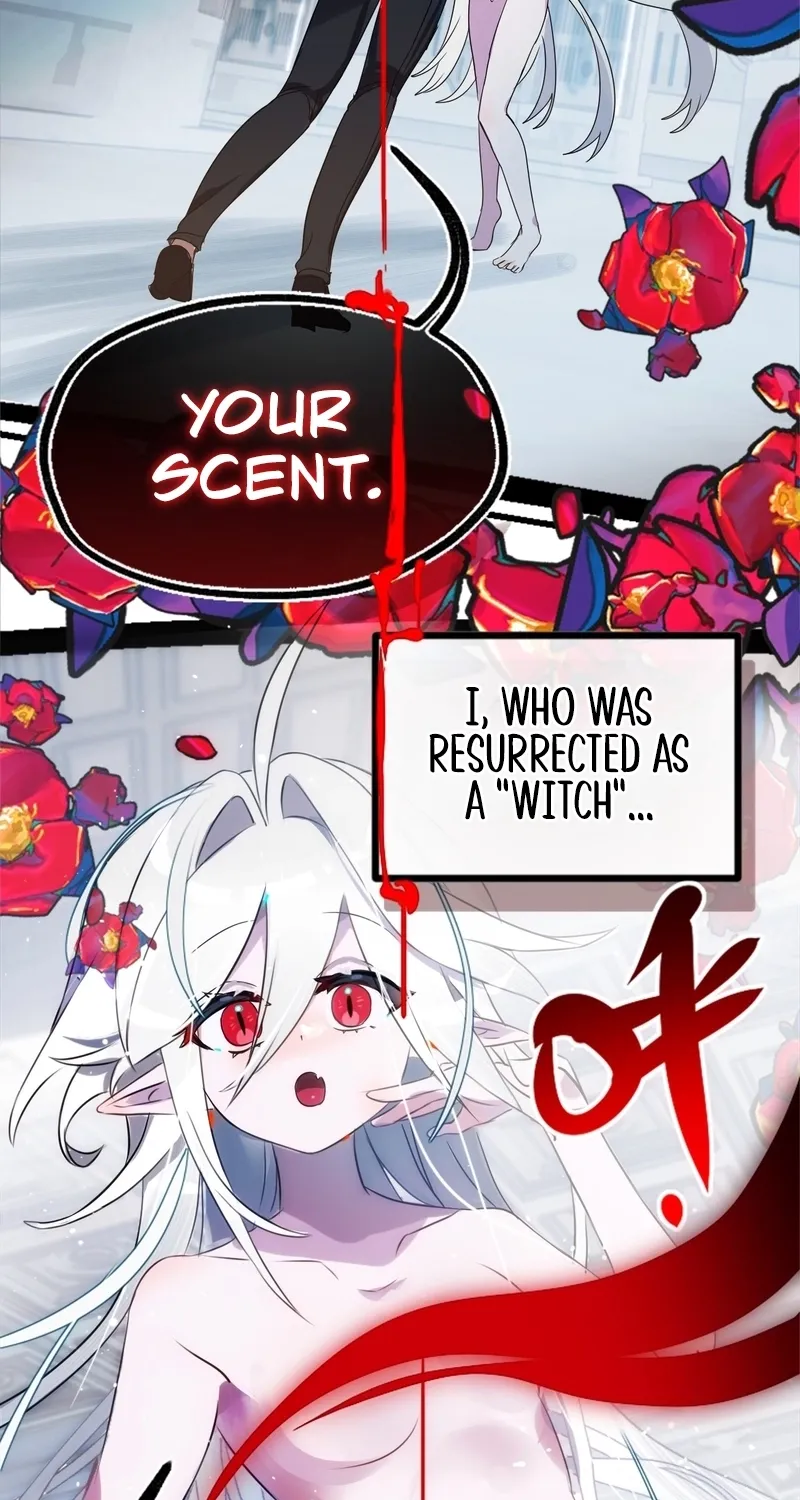 Read Aelhelice chapter 1 image 66 on Lezhin