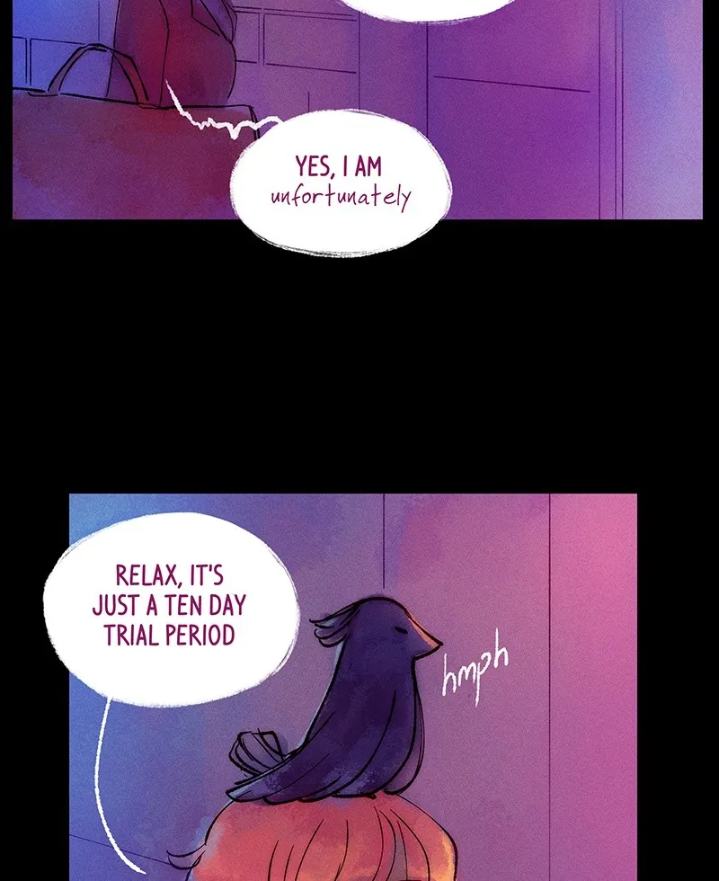 Read Aerial Magic chapter 2 image 15 on Lezhin