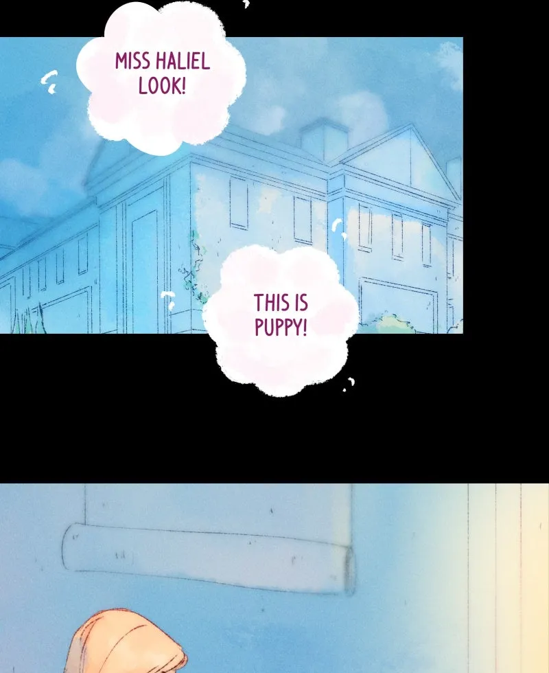 Read Aerial Magic chapter 24 image 13 on Lezhin