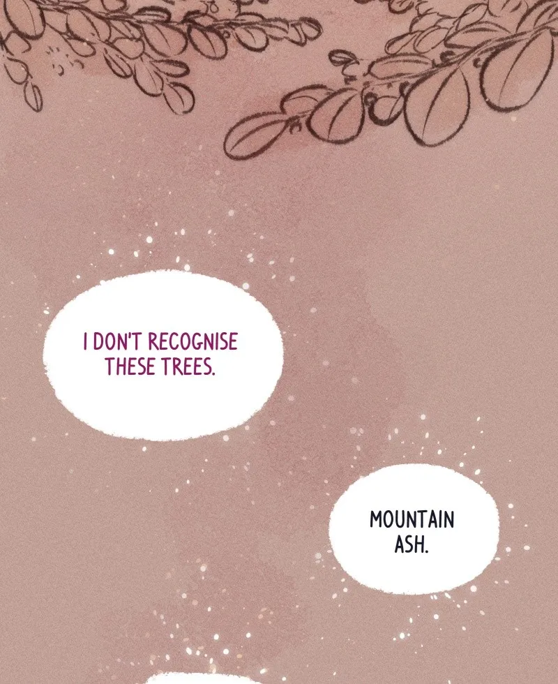Read Aerial Magic chapter 31 image 11 on Lezhin