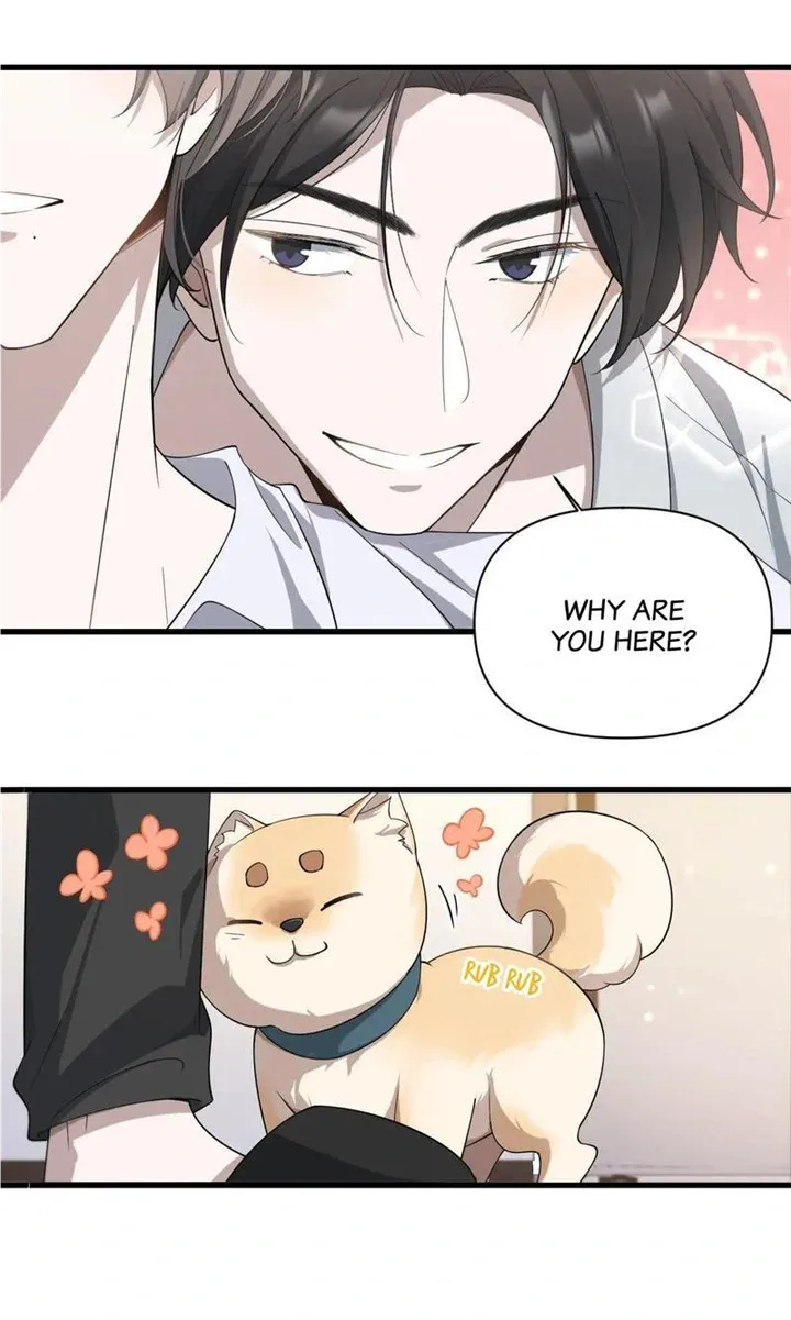 Read Aesthetic Formula chapter 21 image 11 on Lezhin