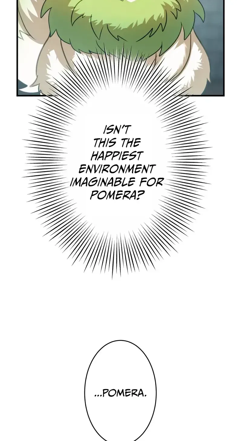 After Being Expelled, I Awakened a Barrier Skill and Became Unmatched Chapter 13 page 162 - 
