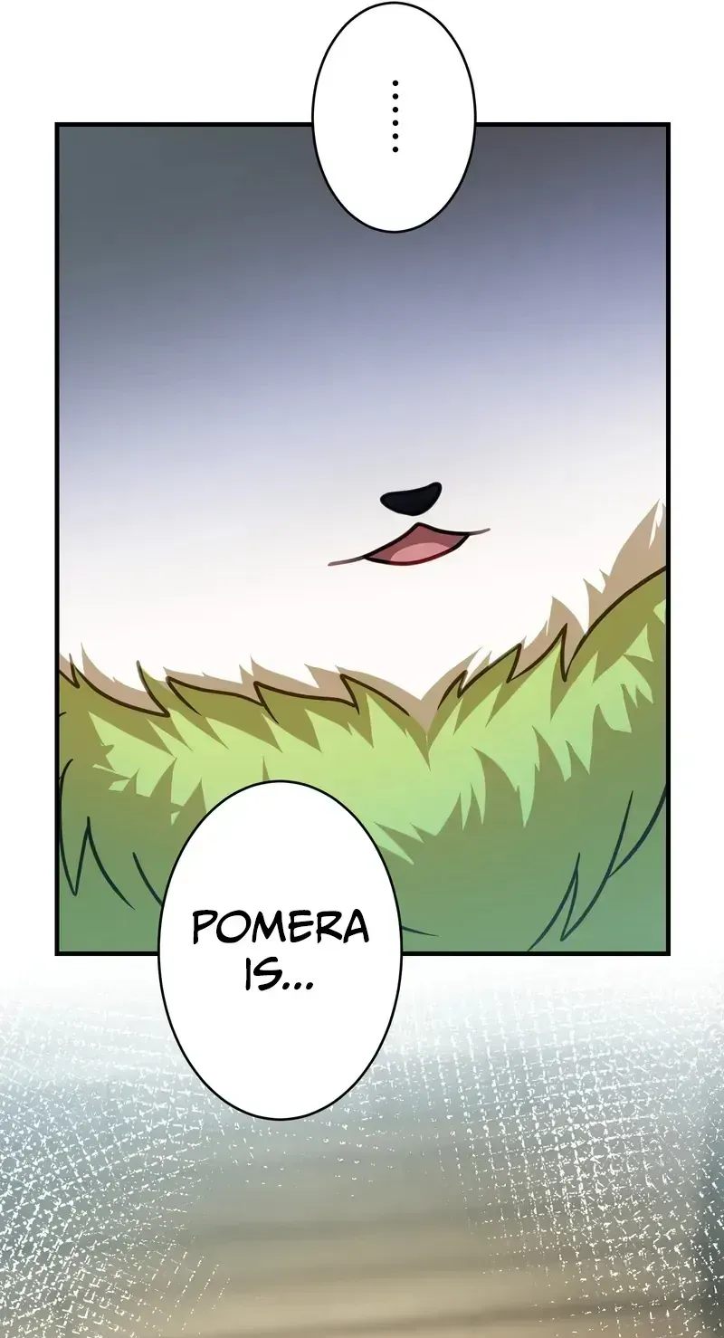 After Being Expelled, I Awakened a Barrier Skill and Became Unmatched Chapter 13 page 165 - 