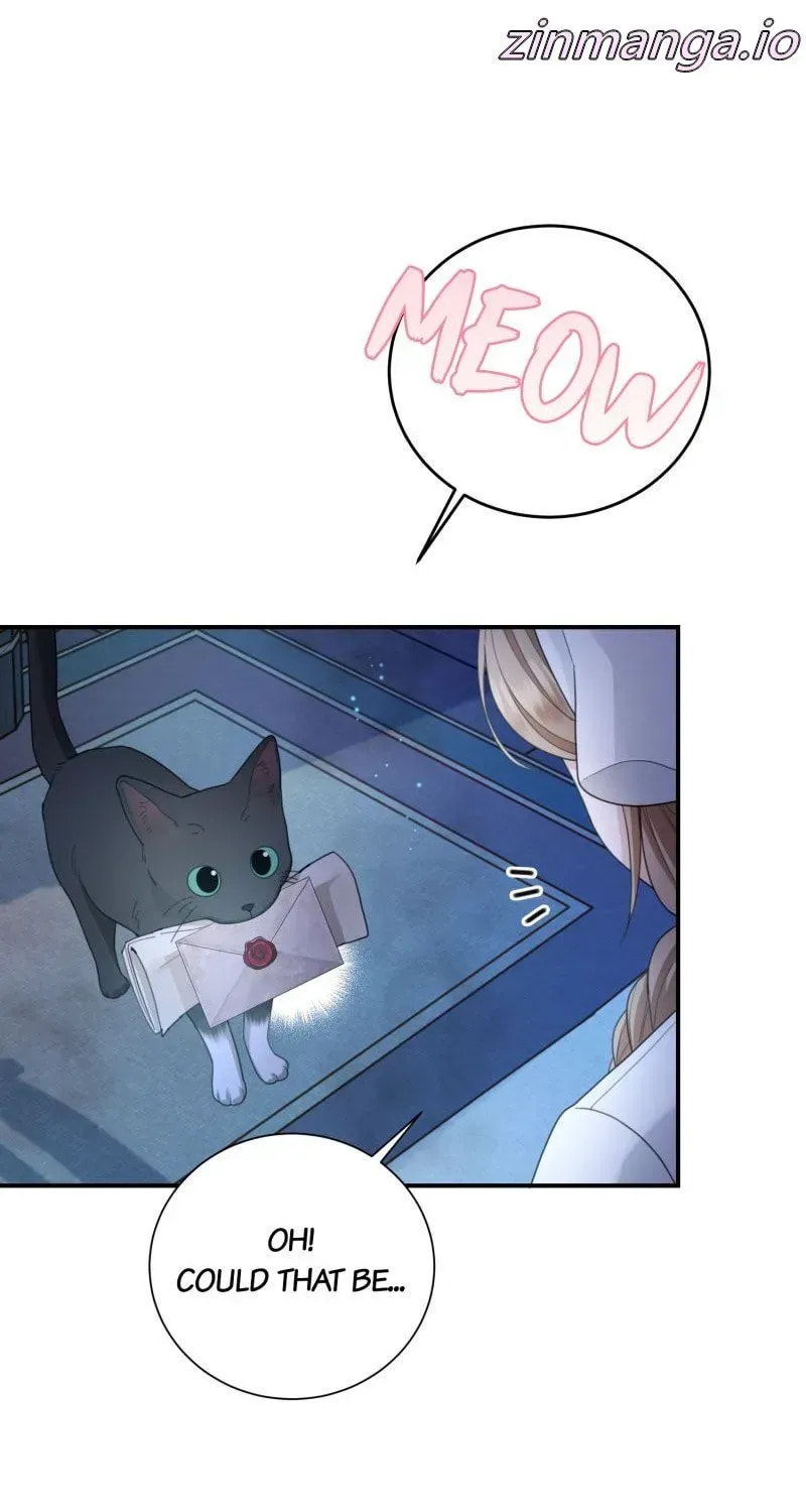 Read After Cinderella