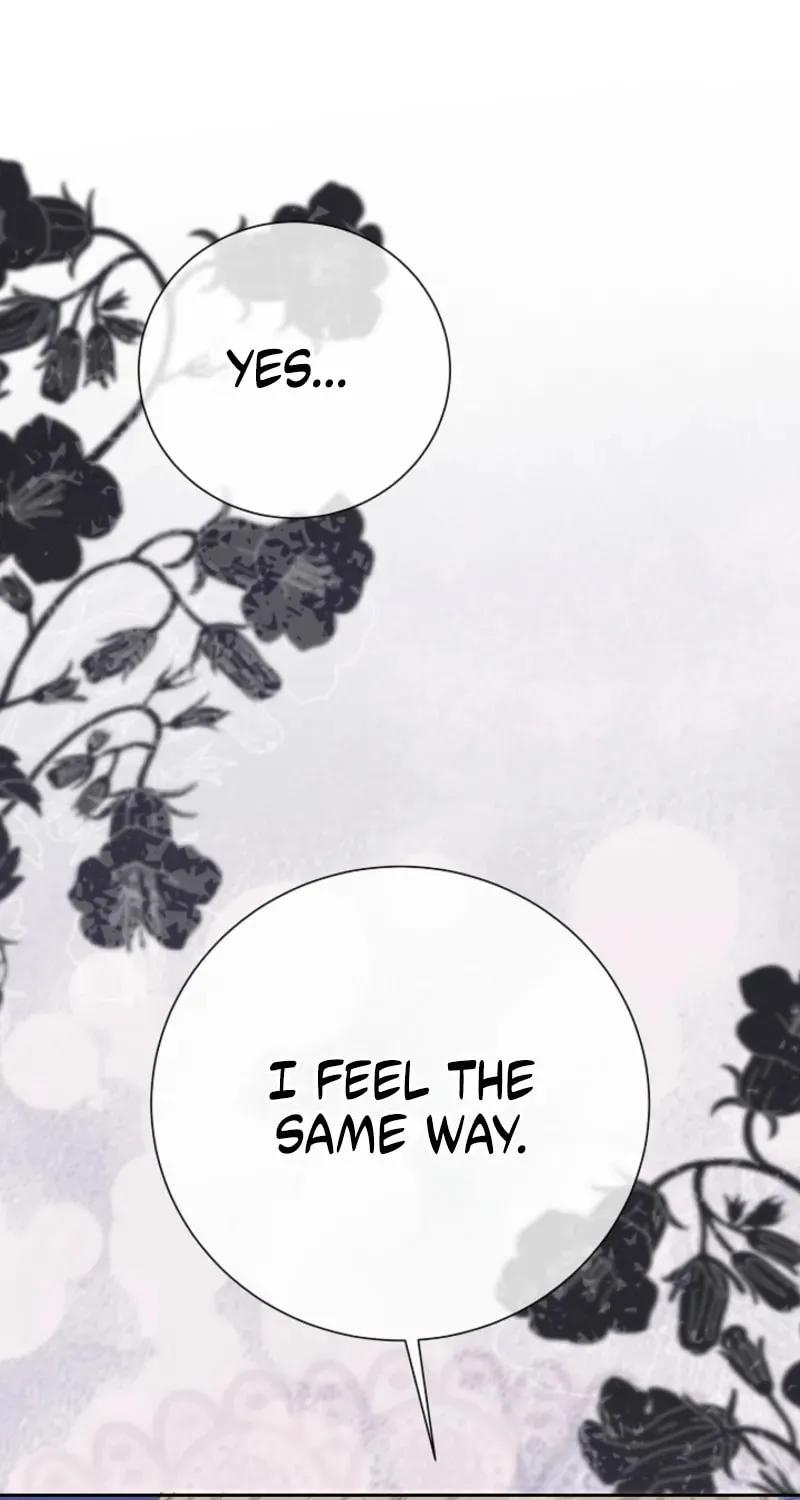 Read After Cinderella