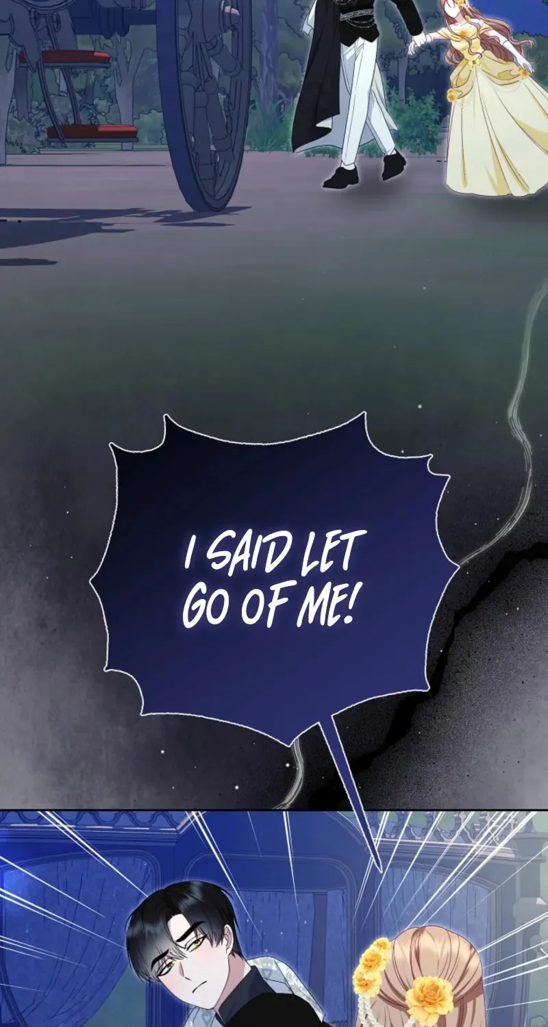 Read After Cinderella