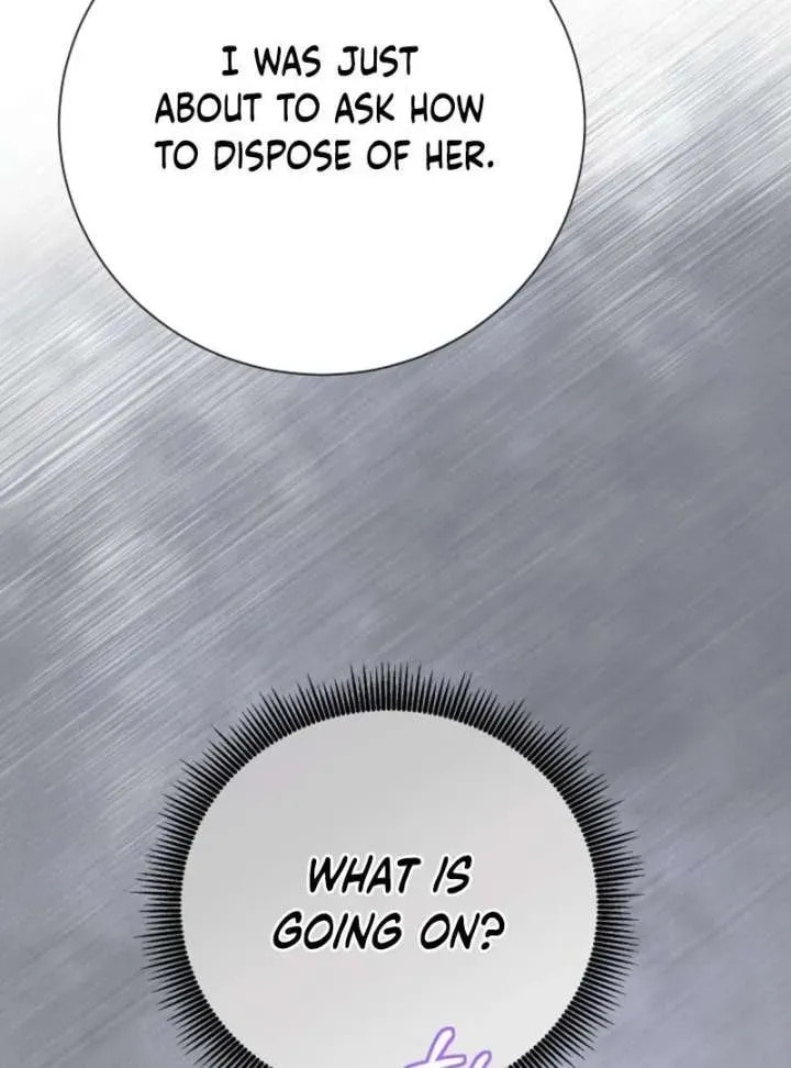 Read After Cinderella