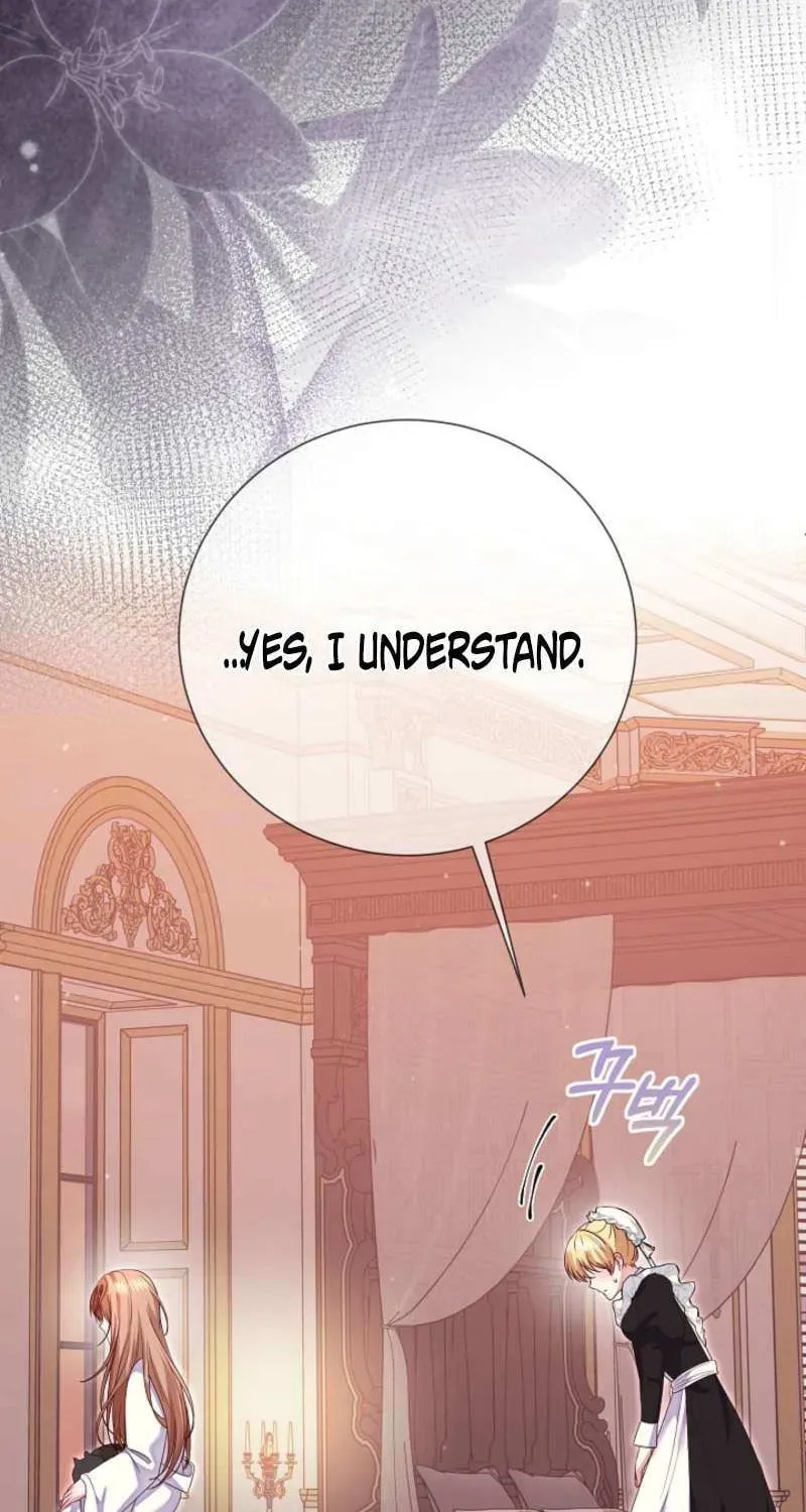 Read After Cinderella