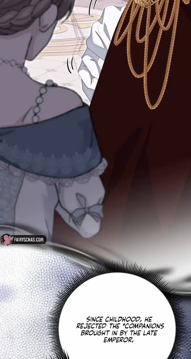 Read After Cinderella