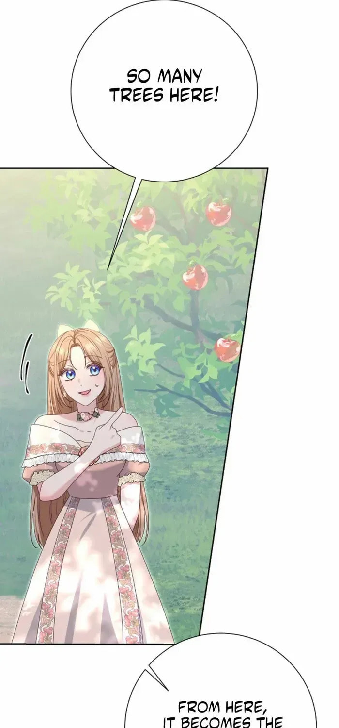 Read After Cinderella