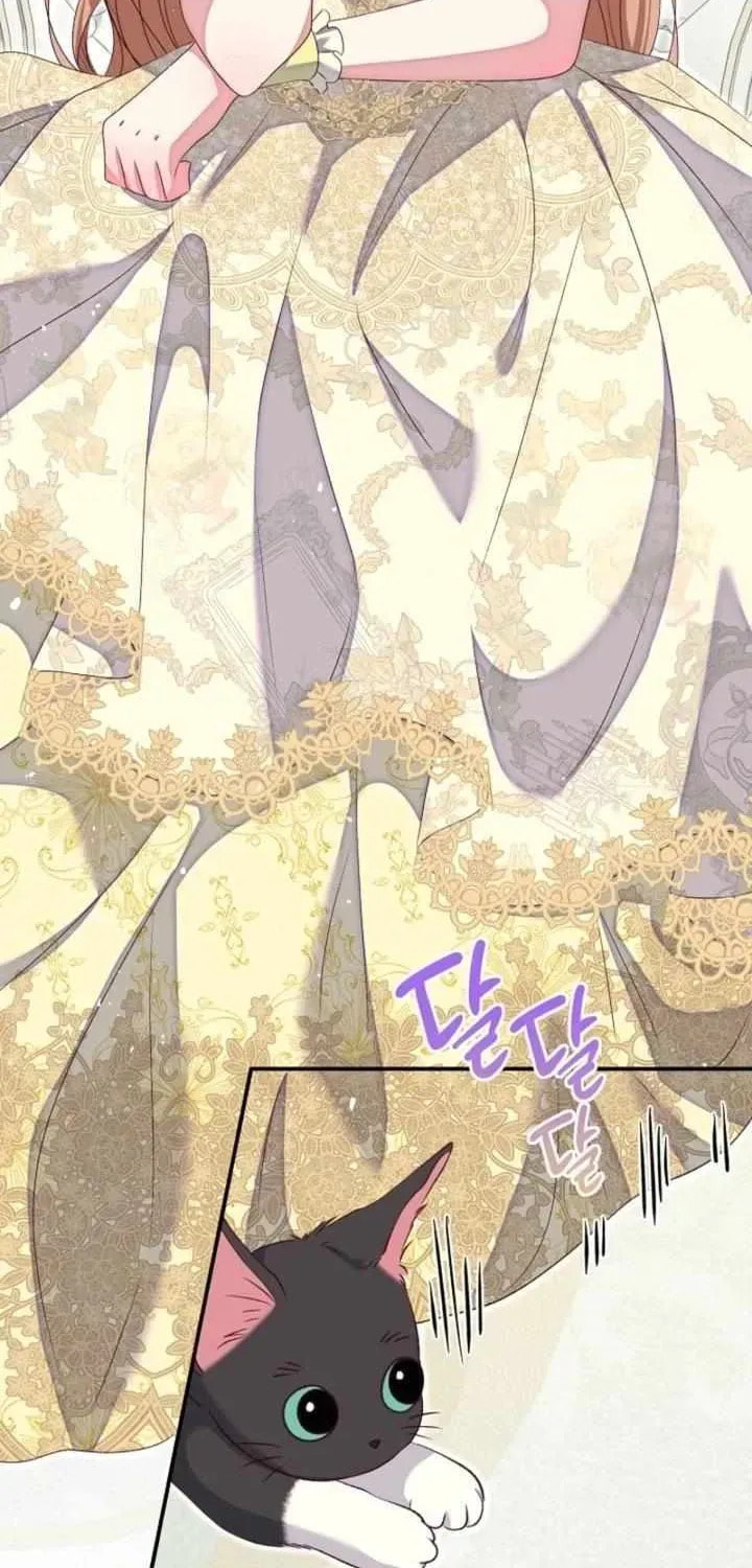 Read After Cinderella