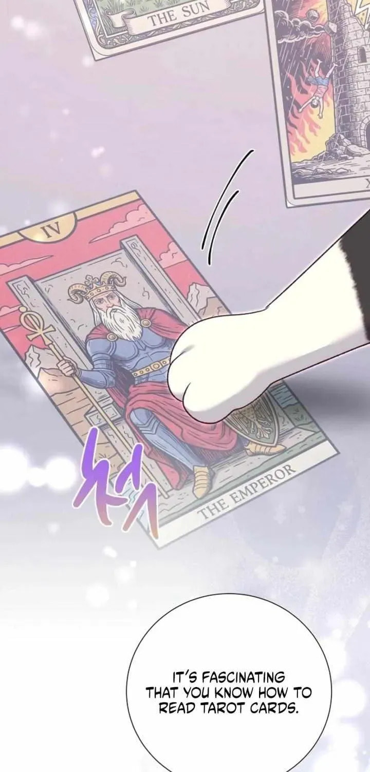 Read After Cinderella