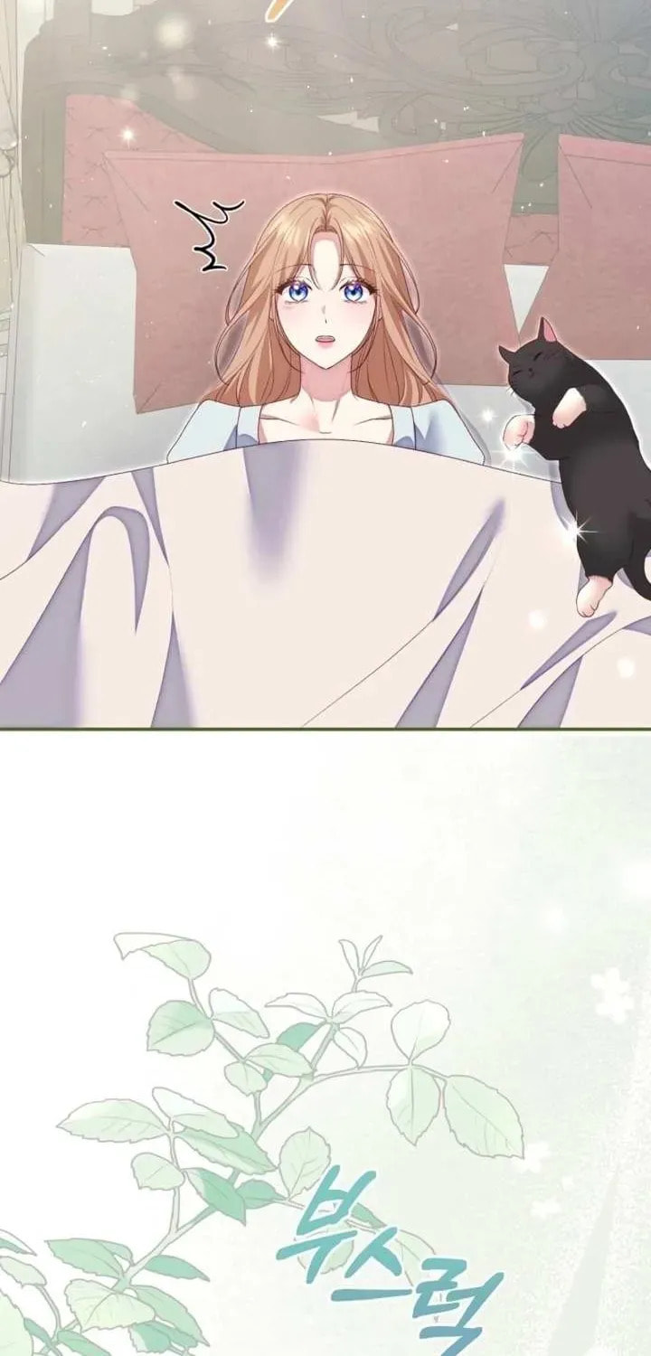 Read After Cinderella
