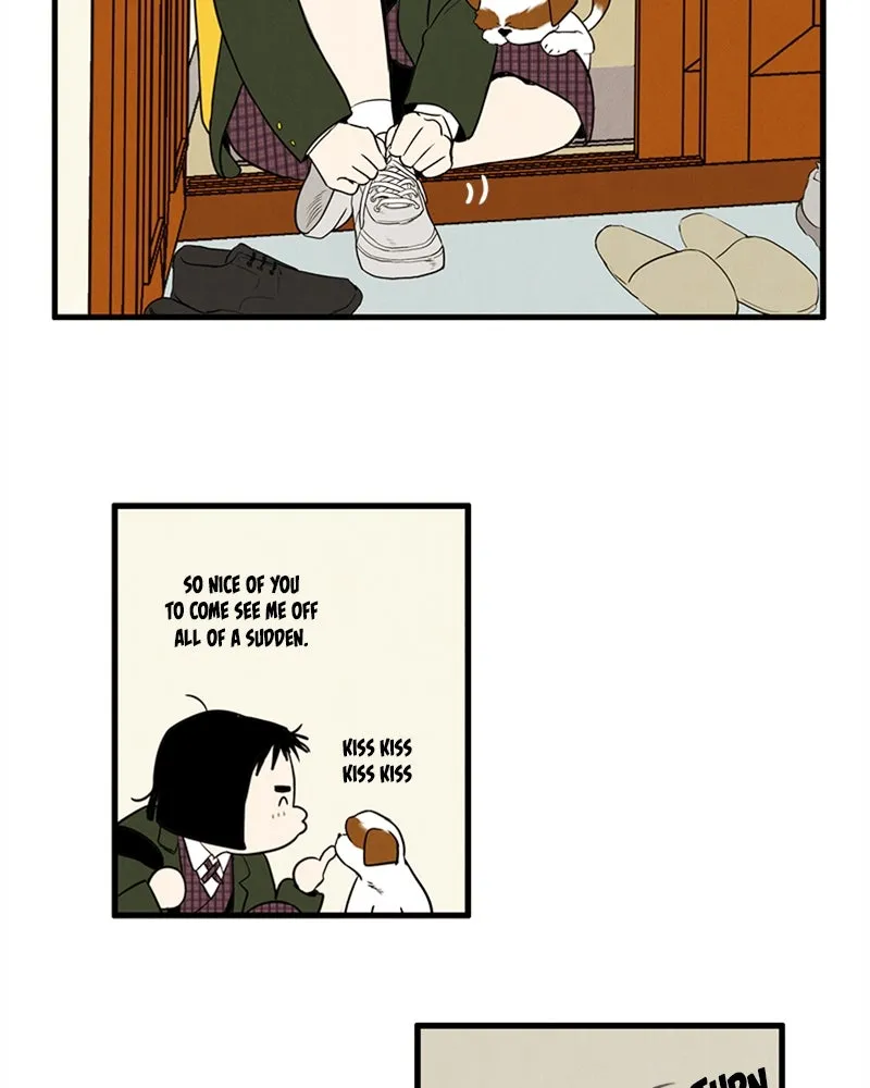 Read After School Lessons for Unripe Apples chapter 11 image 3 on Lezhin