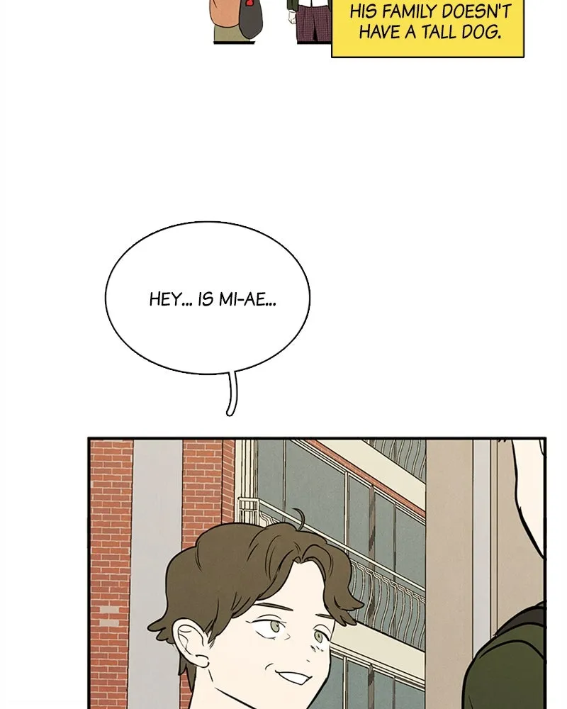 Read After School Lessons for Unripe Apples chapter 36 image 9 on Lezhin