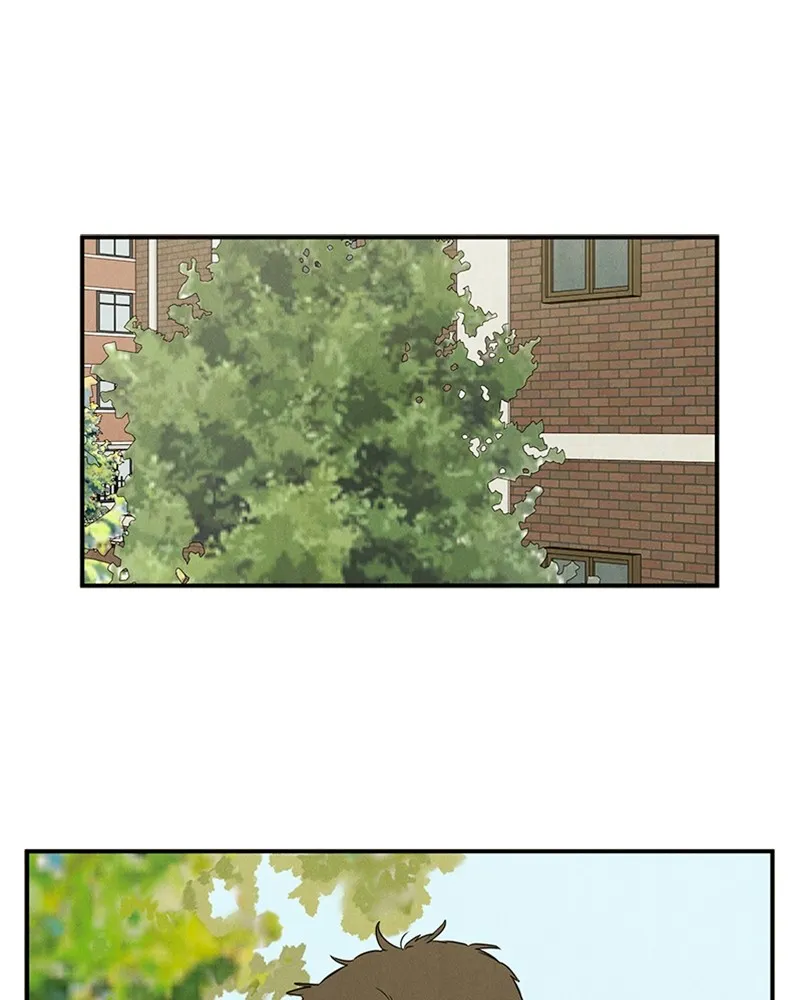 Read After School Lessons for Unripe Apples chapter 45 image 13 on Lezhin