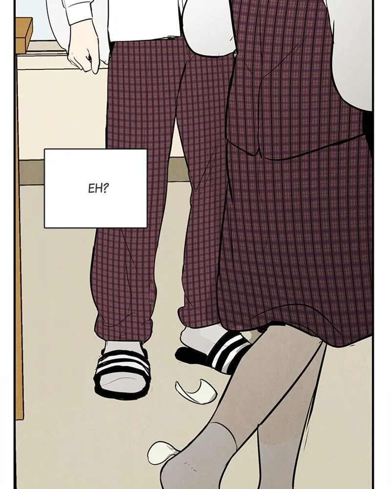 Read After School Lessons for Unripe Apples chapter 45 image 153 on Lezhin