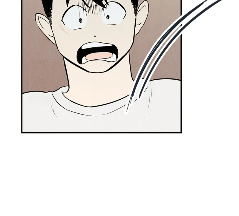 Read After School Lessons for Unripe Apples chapter 55 image 55 on Lezhin