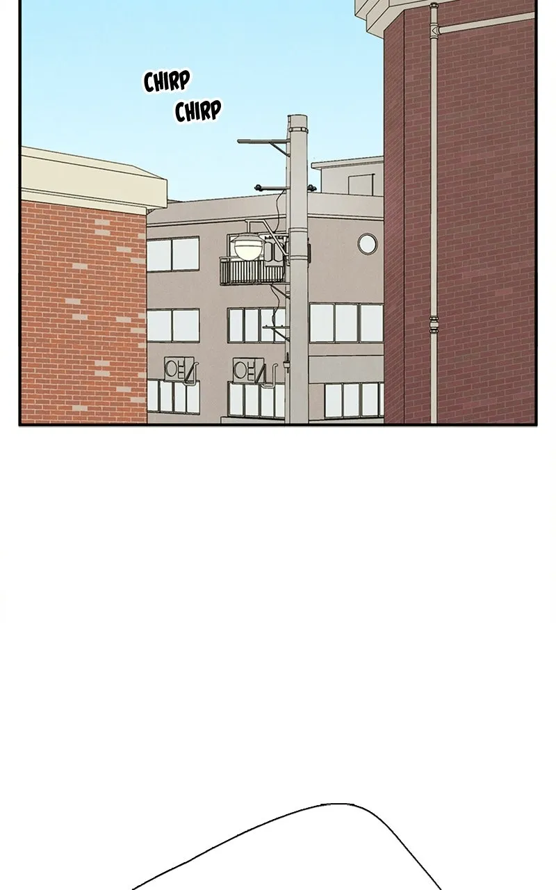 Read After School Lessons for Unripe Apples chapter 63 image 71 on Lezhin