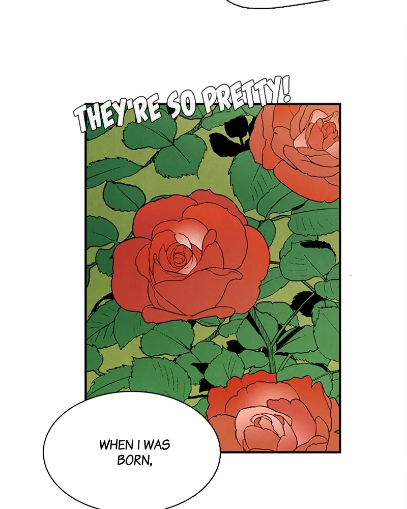 Read After School Lessons for Unripe Apples chapter 65 image 182 on Lezhin
