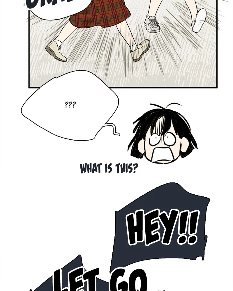 Read After School Lessons for Unripe Apples chapter 70 image 22 on Lezhin